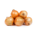 Wholesale chinese fresh yellow onion hot selling with market price